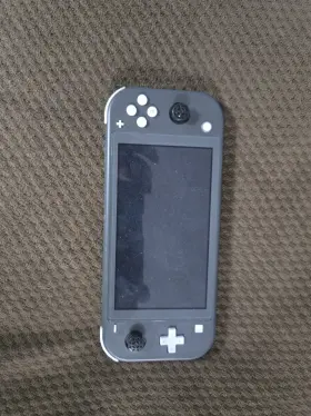 Nintendo 045496452650 3 Switch Lite Gray Handheld System Nintendo 045496452650 3 Switch Lite Gray Handheld System