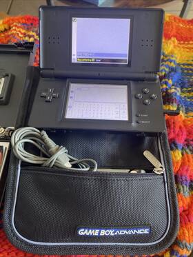 Nintendo Ug50576113 Ds Light With Pen Case Charger Aria Of Sorrows And Order Ecclesia