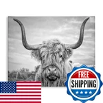 Stupell Industries Black White Highland Cow Photograph Canvas Wall Art New. Price: $71.12.