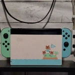 Nintendo Switch Animal Crossing Edition Console With Green/blue Joy-con Used. Price: $170.00.