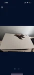 Sony PS5 Blu-ray Edition Console (also Comes With Media Controller) Open. Price: $435.00.