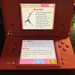 Nintendo Dsi Pink Console TWL-USA-1 / TWL-001 No Charger Or Stylus Games Used. Price: $75.00.