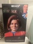 EXO-6 Star Trek Voyager Captain Kathryn Janeway 1/6 Scale Figure EXO-01-004. Price: $399.00.
