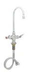 Ts Brass B-0300-CR Double Pantry Faucet, Single Hole Base, Swivel/rigid Goose... New. Price: $297.72.